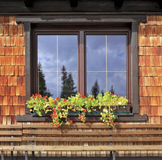 Dachstein huge tourist complex in Austrian Alps. Picturesque popular cafe window with flower pots