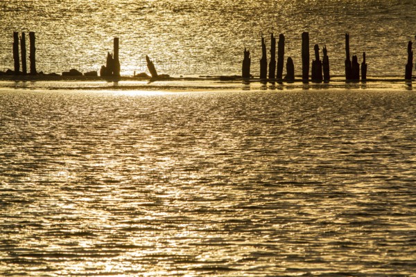 Pictures of the island of Rügen Holidays in Germany
