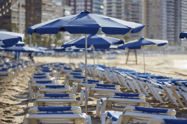 Benidorm sunrise with hammocks and parasol umbrellas with skyline background