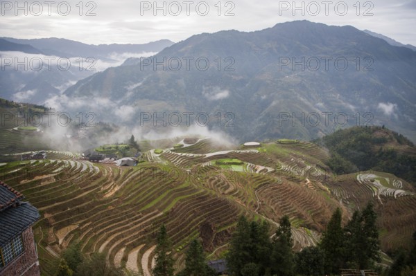 Long shen rice terrace, guangxi, china