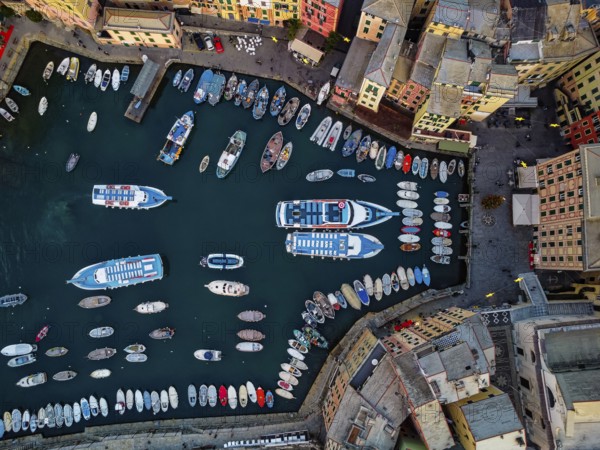 Tourist boat mooring in the harbor of Camogli
