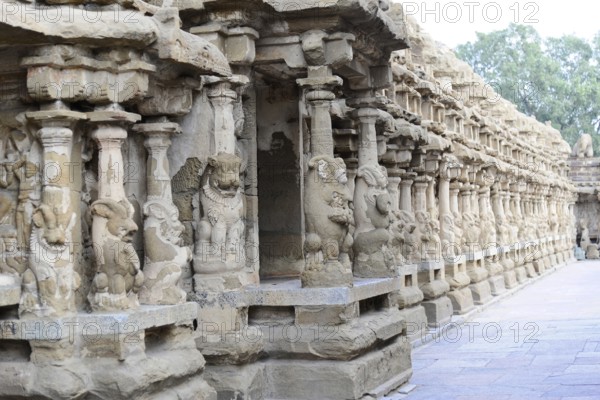 Vishnu Varadaraja Temple, Kanchipuram, Tamil Nadu, row of ornately carved stone pillars in an ancient Indian temple, Kanchipuram, Tamil Nadu, South India, India, Asia