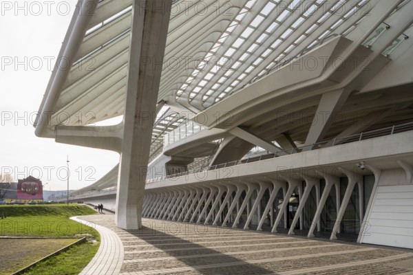 Liège, Liège-Guillemins railway station, design 2009 Santiago Calatrava, concrete pillars and struts for the roof