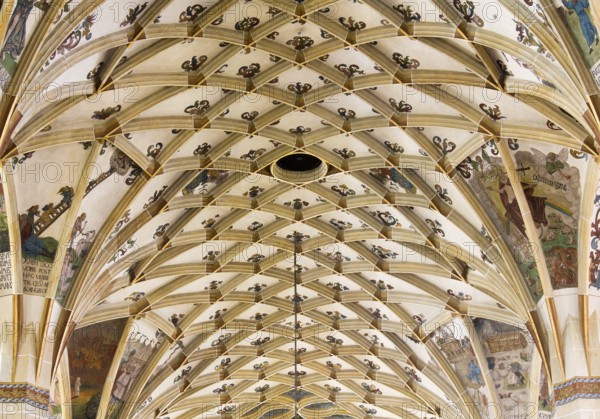 Vault in the nave, Obtain permission from the Evangelical Lutheran parish of Pirna in front of publication!, St., Sankt, Saint