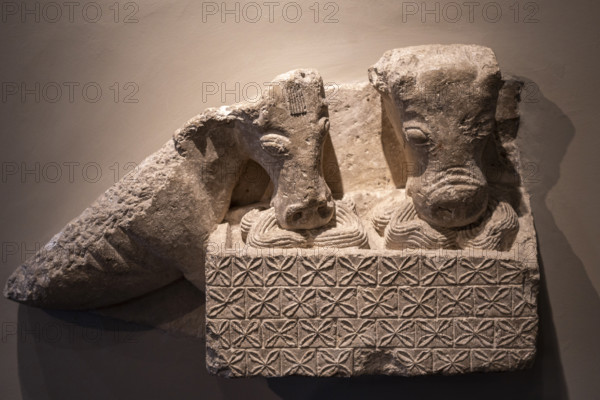 The mule and ox, Romanesque sculpture, 12th century, master Esteban's workshop, origin of the Pamplona cathedral, Museum of Navarra, Pamplona, Navarra, Spain, Europe
