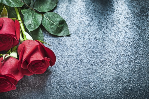 Natural red roses on black background holidays concept