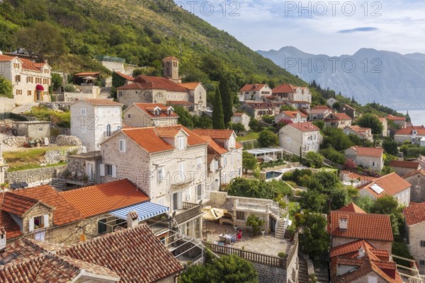Perast, Montenegro houses of the ancient town, high angle view