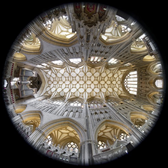 Fisheye 360, interior view, ceiling, Wells Cathedral, Wells, England, Great Britain