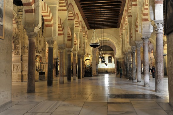 Interior, Forest of columns, Mezquita, former mosque, today cathedral, Cordoba, Hall-like interior view of the Mezquita-Catedral de Córdoba with long rows of columns, Cordoba, Andalusia, Spain, Europe