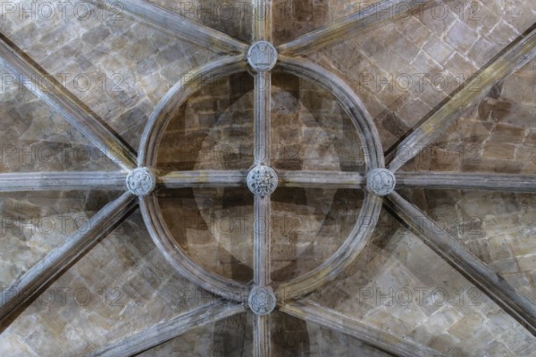 Directly below view of stone ribbed vault in Renaissance Style