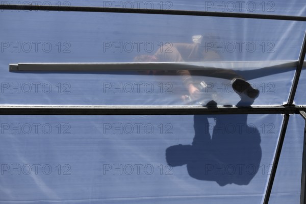 GREYMOUTH, NEW ZEALAND, DECEMBER 12, 2018: A tradesman is seen in silhouette as he secures the plastic on the ridge of a tunnel house
