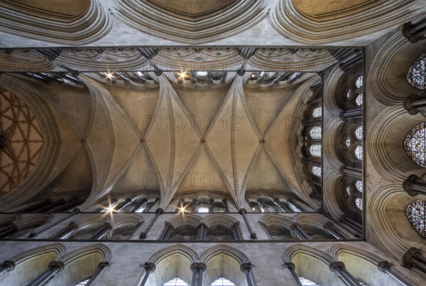 Salisbury, Cathedral, vault in the north transept