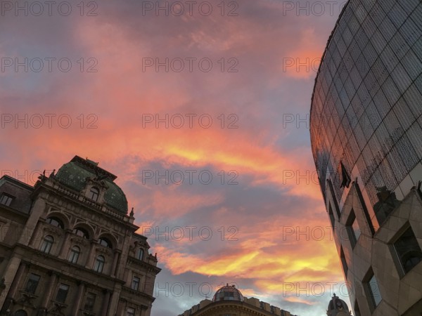 Sunset in vienna city at summer