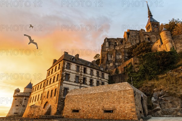 Seagulls flying over dramatic sunset in Mont Saint-Michel