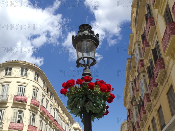 An elegant street lamp with red flowers in front of urban buildings under a blue sky with clouds, Malaga, Spain, Europe