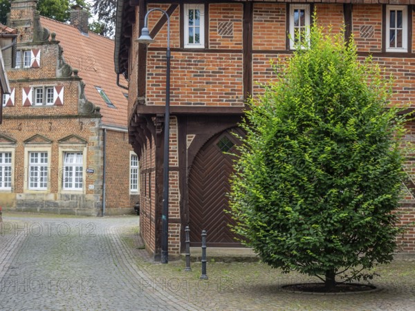 Green tree between historic half-timbered and brick buildings on a cobbled street, Legden, münsterland, westphalia, germany