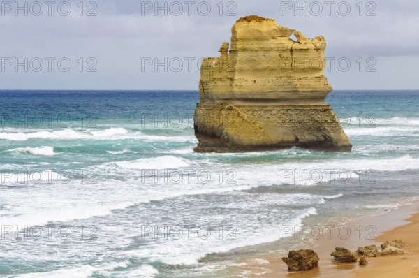 An enourmous offshore limestone stack at the Gibson Steps beach along the Great Ocean Road near the Twelve Apostles, Port Campbell, Victoria, Australia, Oceania