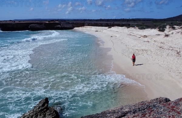 Coast at Playa Chikitu, Netherlands Antilles, Bonaire, Caribbean, Caribbean Sea, Washington Slagbaai National Park, Playa Chikitu