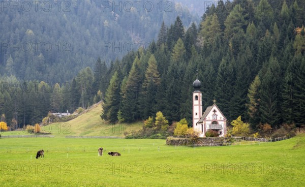 The small and beautiful church of Saint John, Ranui, Chiesetta di san giovanni in Ranui Runes South Tyrol Italy, surrounded by green meadow, forest and Dolomite mountains