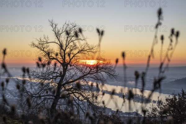 Beautiful park at sunrise on a winter morning. Beautiful view of the Rhine valley at sunrise. Landscape photograph at the Niederwalddenkmal, Rüdesheim, Hesse, Germany, Europe
