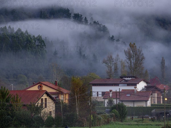 Morning fog, Ucieda, Saja-Besaya natural park, Cantabria, Spain, Europe