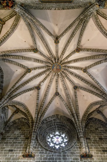 Beautiful vaulted ceiling of the Gothic Cathedral of Valencia (Catedral de València) in the Plaza de la Reina in the centre of the old town, Valencia, Autonomous Community of Valencia, Province of Valencia, Spain, Europe