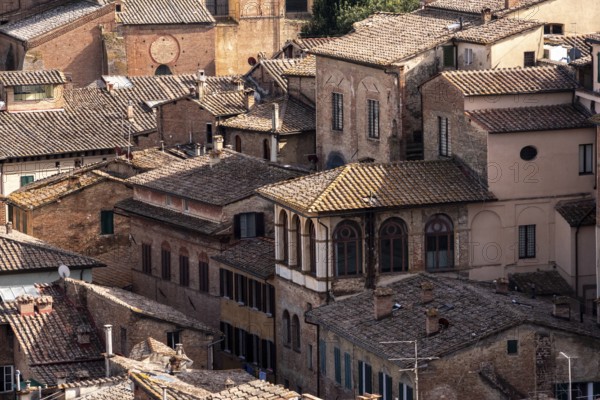 Old residential houses in the city center of Siena, Italy, seen from the Facciatone panoramic viewpoint, Europe
