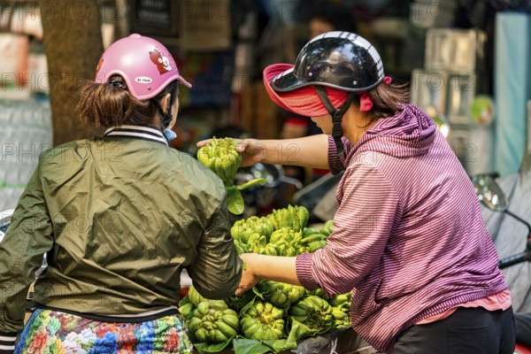 Two woman trading green fruits on Krong motorbikes in an urban environment, woman selling fruits in the streets of Hanoi Vietnam
