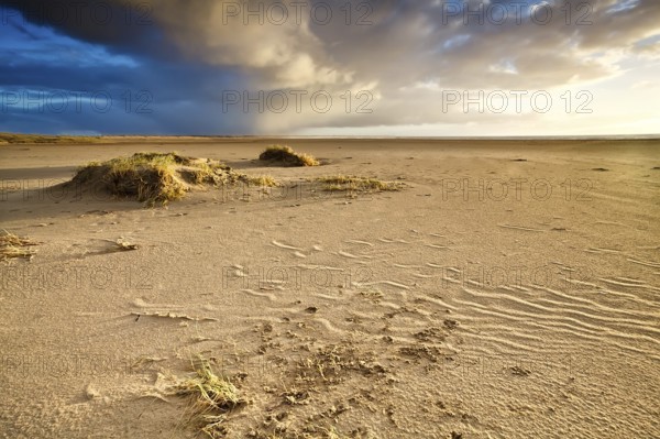 Sand beach by North sea in Netherlands before sunset