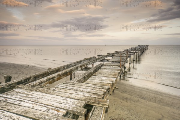 Costanera, Punta Arenas -Sandy Point-, Patagonia, Republic of Chile, South America
