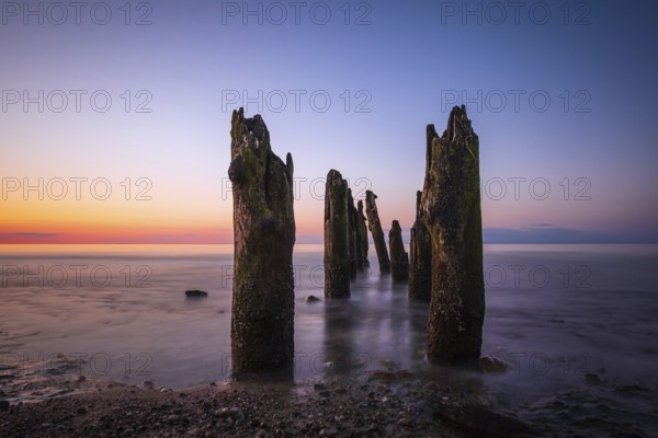 Groynes on the coast of the Baltic Sea near Kühlungsborn