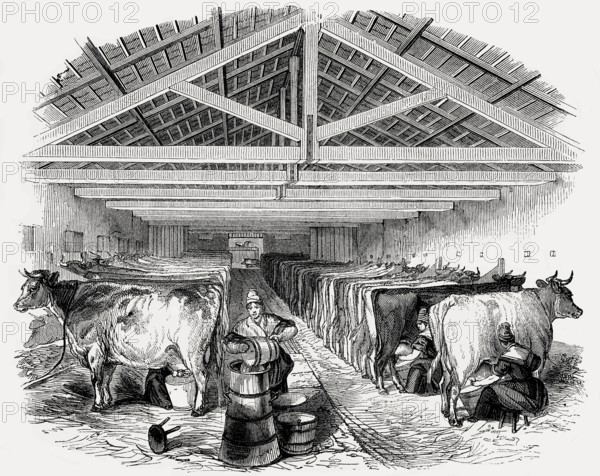 Old English cowshed, 19th century