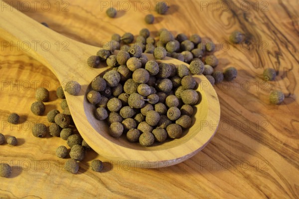 A healty and traditional ingredient of the italian cuisine