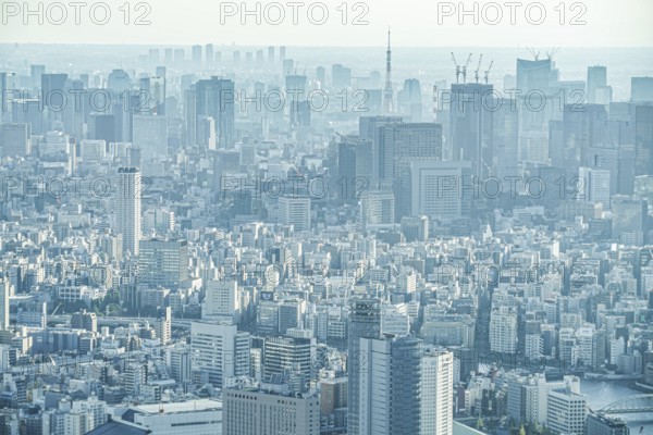 Building group in central Tokyo. Shooting Location: Chuo-ku, Tokyo