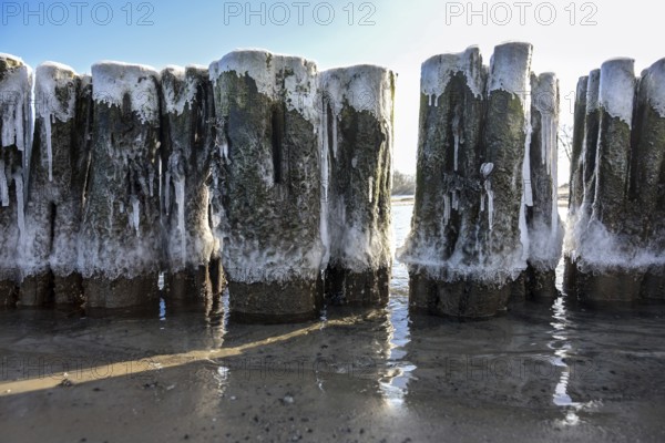 Iced groynes in early spring on the coast of the Baltic Sea in northern Germany, selected focus