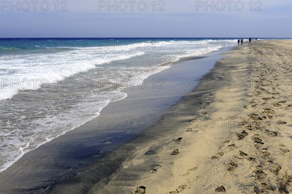 Footprints in the sand, black beach, Jandia, Playa del Matorral, Jandia Peninsula, Fuerteventura, Canary Islands, Canary Islands, Atlantic Ocean, Spain, Europe