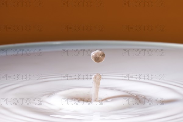 A gentle drop falls into milk and develops soft, concentric circles, water droplets, collision, high-speed photography, concept