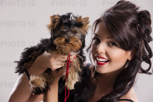 Young beautiful brunette woman in a black dress with a Yorkshire terrier, Novosibirsk, Russia, Europe