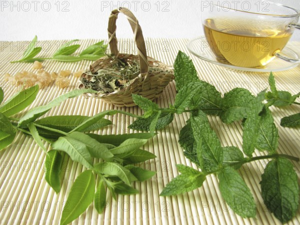 Tea with lemon verbena and Moroccan mint
