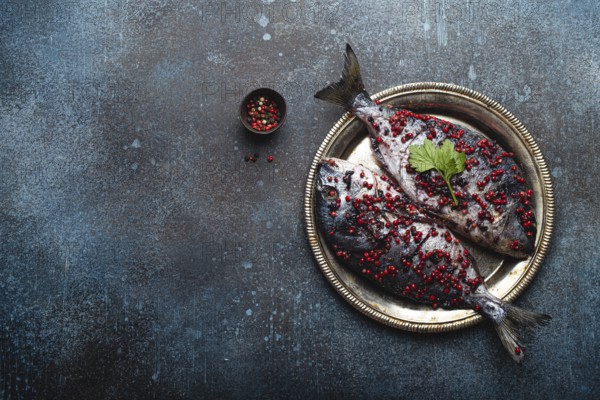 Two raw fishes dorado seasoned in pink peppercorn ready to be cooked laying on rustic metal plate top view. Healthy cooking, diet food eating concept. Dark blue concrete stone background, copy space, food photography