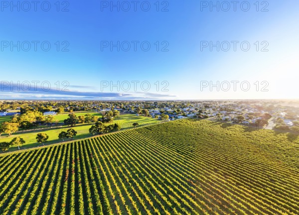 Autumn sunset around the rural country town of Penola in the Coonawarra wine region in South Australia, Australia, Oceania