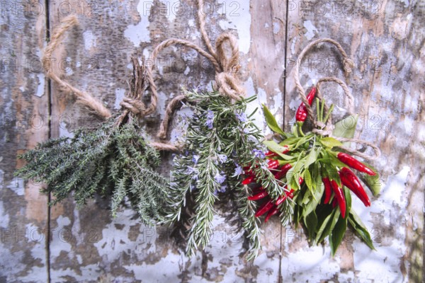 The flavors of the Mediterranean cuisine presentation of herbs
