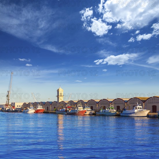 Gandia port puerto Valencia in sunset Mediterranean Spain