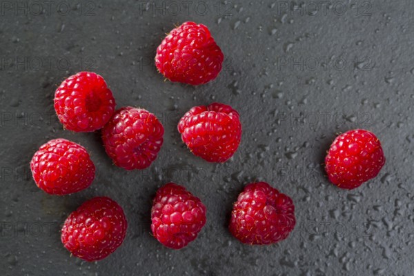 Berries raspberry on black background macro closeup with fresh water drops