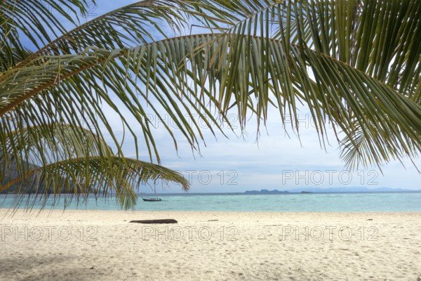 Palm leaves and white sand beach, tropical background
