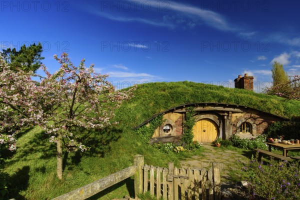 Hobbiton Movie Set of Shire in The Lord of the Rings and The Hobbit trilogies in Matamata, New Zealand, Oceania