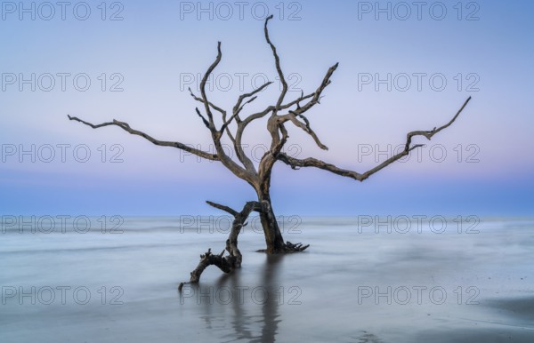 Meditative seascape at Boneyard Beach on Bull Island in South Carolina at sunrise