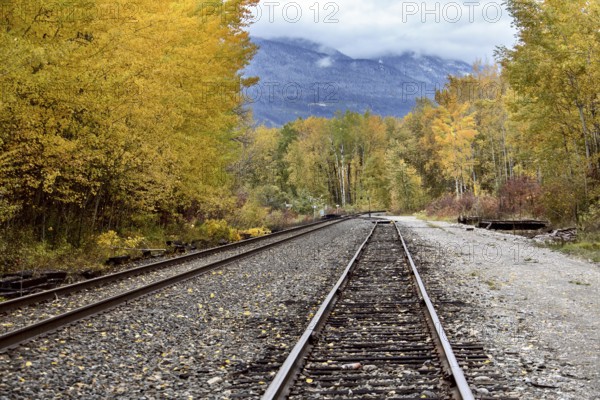 Golden British Columbia Kicking Horse Country Scenic