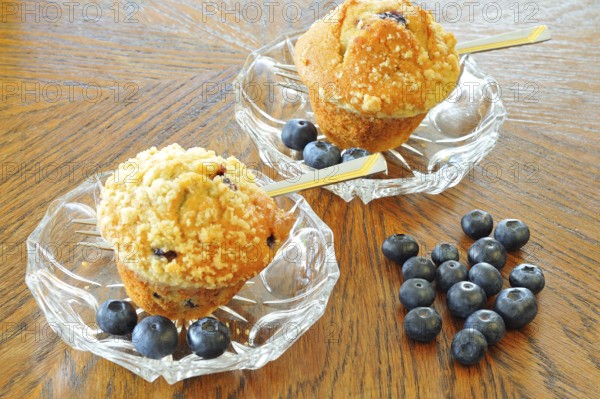 Blueberry muffins on a white plate with fresh berries, Blueberry muffins with blueberries
