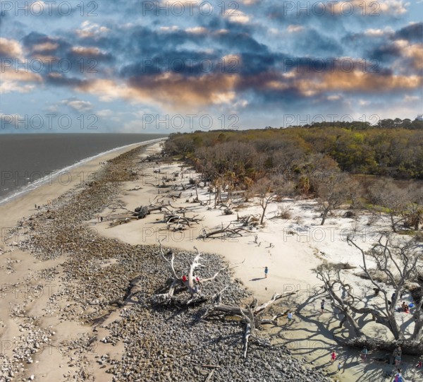 Driftwood Beach in Jekyll Island, Georgia. Aerial view on a spring day